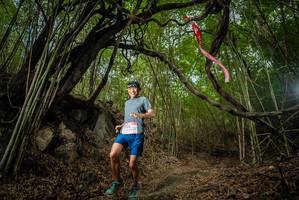 BIB: 
                            <button type="button" onclick="openModal(22177320)" class="btn btn-primary btn-sm float-right btn-popup" data-toggle="modal" data-target=".modal-high-quality">
                        <i class="fas fa-shopping-cart"></i> Add to Cart
                    </button>
                                            <button type="button" onclick="isThisMe(22177320, true)" class="btn btn-success btn-sm float-right btn-popup btn-isme hidden" data-toggle="tooltip" data-placement="bottom" title="นี่คือรูปของคุณใช่ไหม คลิกที่นี่เพื่อเอาเข้าอัลบั้ม">
                        <i class="fas fa-plus"></i> Add to album
                    </button>
                    <button type="button" onclick="isThisMe(22177320, false)" class="btn btn-warning btn-sm float-right btn-popup btn-isnotme hidden">
                        <i class="fas fa-ban"></i> Remove from album
                    </button>